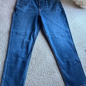 NWT American Eagle Skinny Mom Jeans Medium Wash